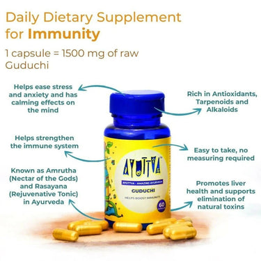 https://cdn.shopify.com/s/files/1/1857/6931/files/M9Tz1DC5MK-717146.jpg?v=1736151233